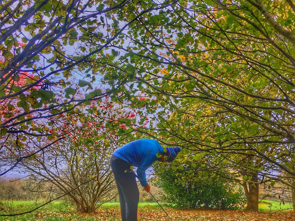 Rye Hill Golf Club – course&nbsp;review